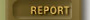 REPORT